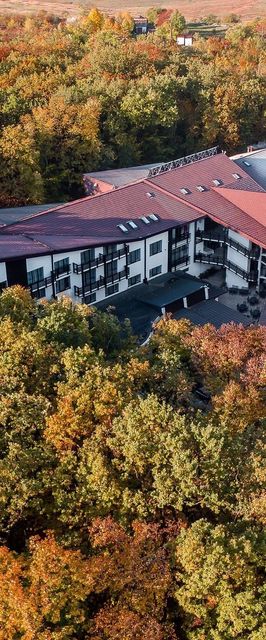 Rediu Hotel & Restaurant Botoșani