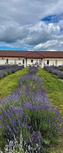 Ezüst Mező Vendégház Nagyecsed