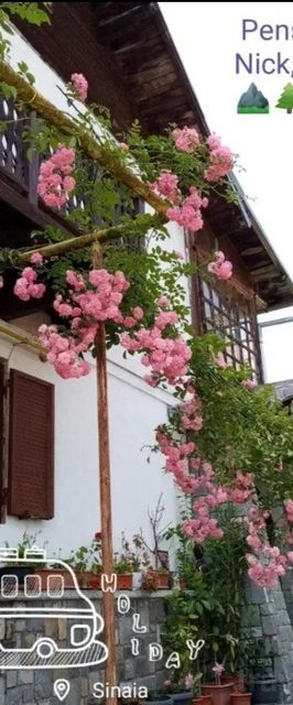 Pensiunea Nick Sinaia