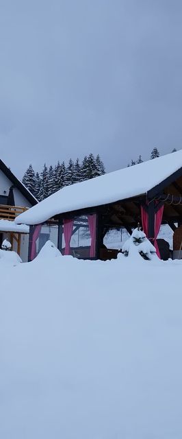 Cabana Deasupra Norilor Ghiduț