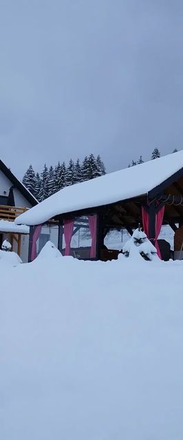 Cabana Deasupra Norilor Ghiduț