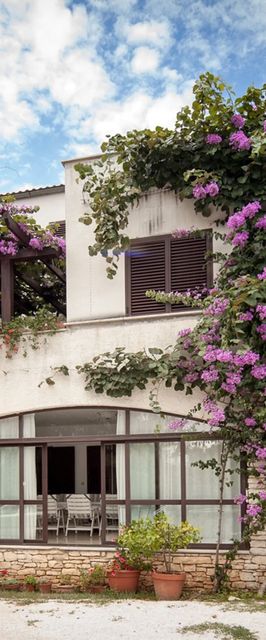 Apartments Tamara Rovinj