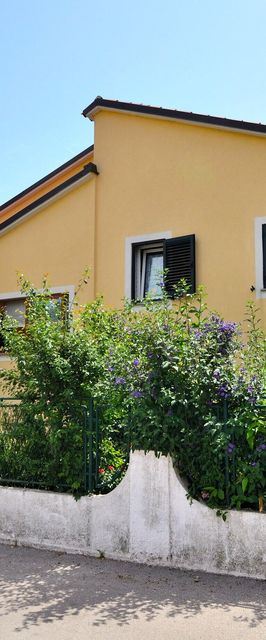 Apartments Pintur Premantura