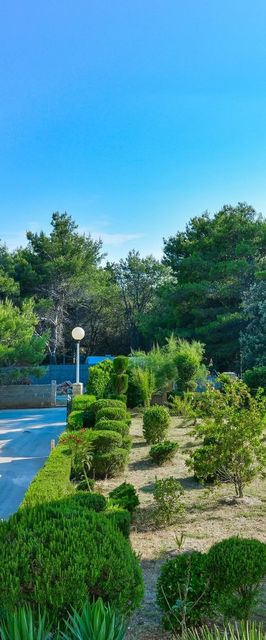 Apartments Pavlak Vir II