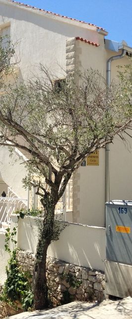 Apartments Cacija Okrug Gornji