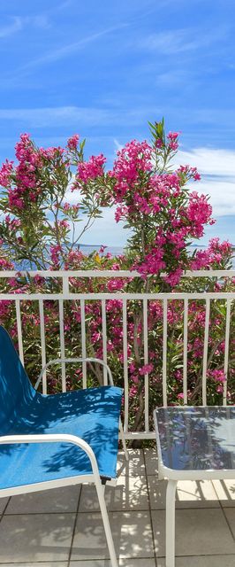 Apartment Zamalin SeaView Tribunj