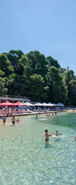 Apartments Biserka G Palit