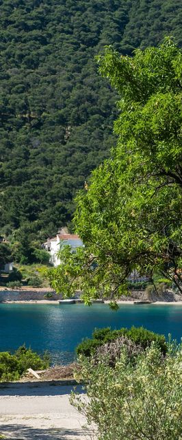 Apartments Vita Niko Grebastica