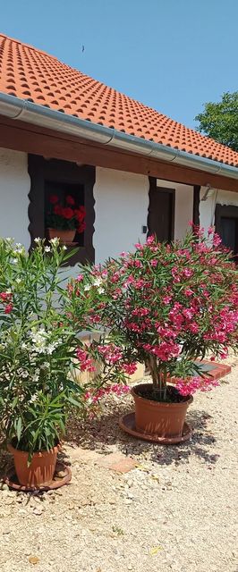 Éden Lak Vendégház Siklós 