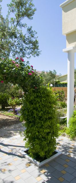 Mobile home Dandelion Biograd