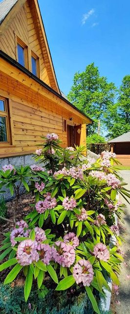 Dworek nad Górskim Potokiem Domek Karpacz