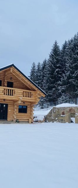 Cabana Fântânele Săliștea de Sus