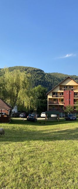 Pensiunea Mary Moieciu de Jos