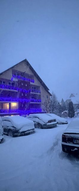 Pensiunea Mary Moieciu de Jos