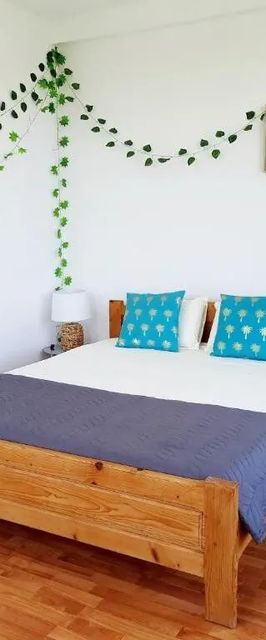 Apartament Turquoise Schitu