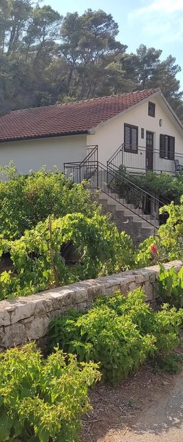 Apartmanok A Tenger Mellett Öböl Vela Stiniva, Hvar - 19951 Vela Stiniva