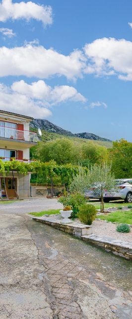 Apartment Ivona Tribalj