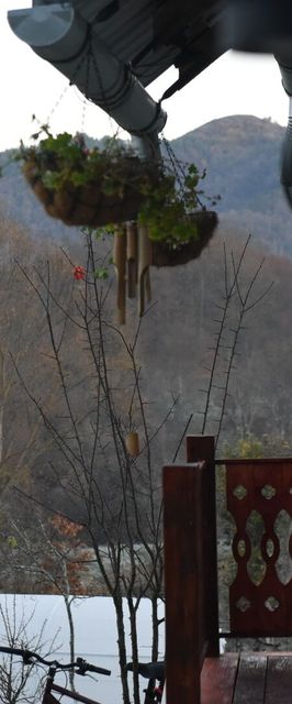 Casă de vacanță în Apuseni Șesuri