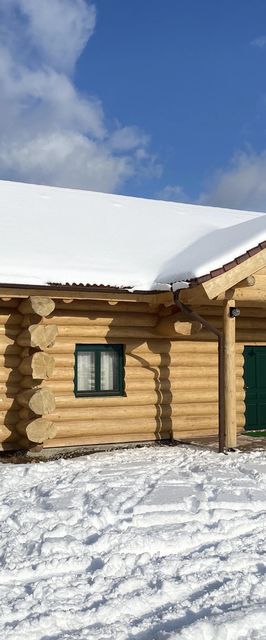 Cabana Szencsedi Erdészlak Lupeni