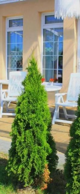 Villa Happy Rose Dąbki