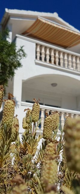 Apartments Adriatic Rogoznica