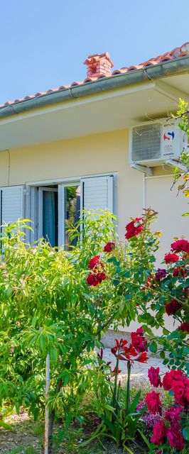 Apartment Nikola Barbat