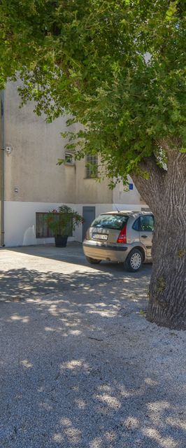 Rooms Oak Tree Biograd