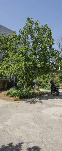 Apartment Lily Vodice