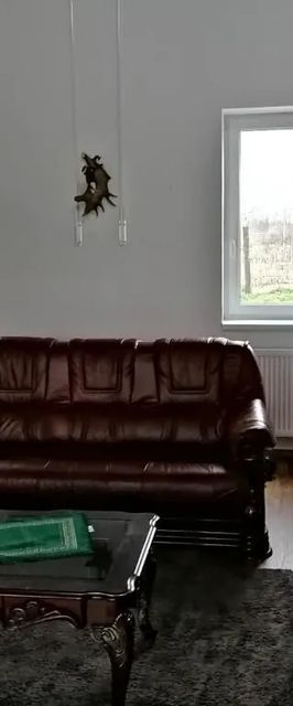 Zoldav Vendégház Nyíradony