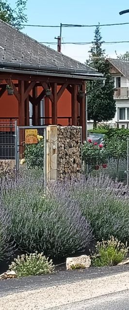 Rózsa Vendégház a Bakony-szívében Zirc