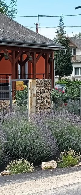 Rózsa Vendégház a Bakony-szívében Zirc