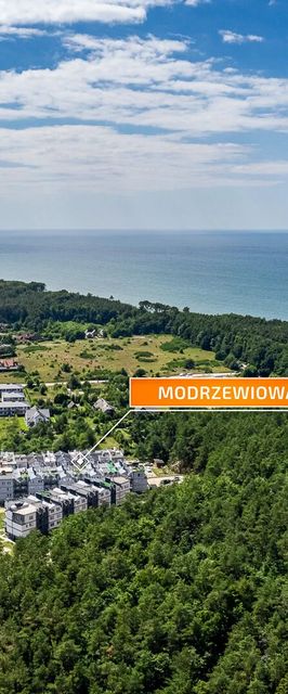 Apartamenty Sun & Snow Modrzewiowa Dębina
