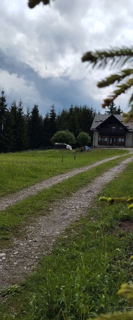 Cabana Panorama Borzont