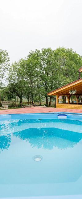 Flori din Deal Mărgău