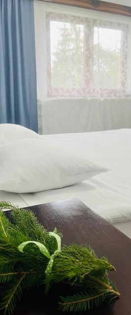 Pensiunea Guest House La TaTa Neagra Șarului