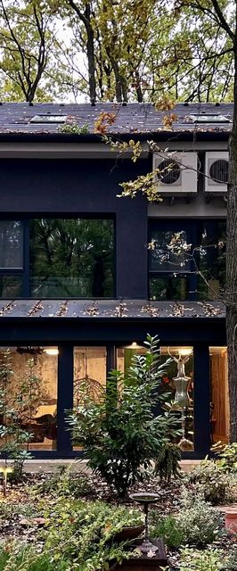 Lombkorona Apartman Mártély