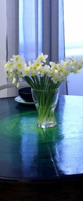 Apartament Zielona Przystań Łódź