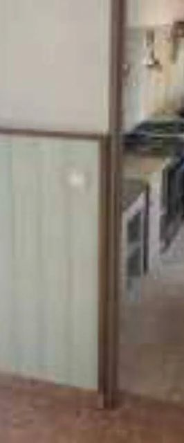 Agroturystyka Witold Lesiecki Objazda