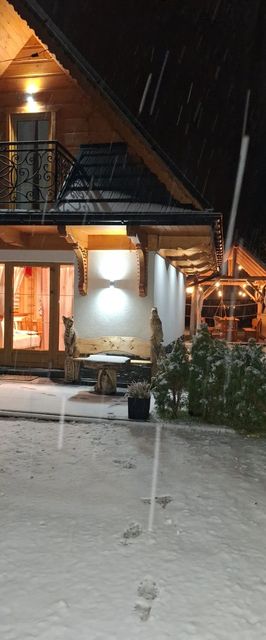 Domek w górach Podczerwone Czarny Dunajec