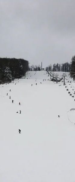 Villa Neve Ustrzyki Dolne