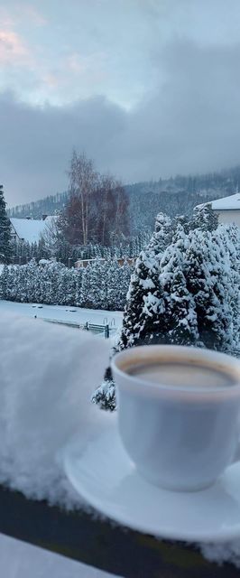 Wichrowe Wzgórze - dom na wyłączność Brenna