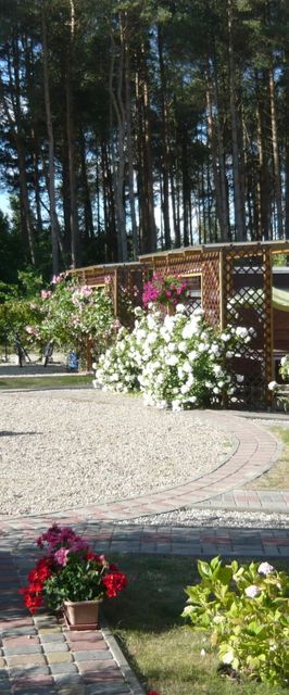 Domki Zielony przylądek Rozewski Jastrzębia Góra