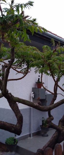 BB Ház Apartman Balatonboglár