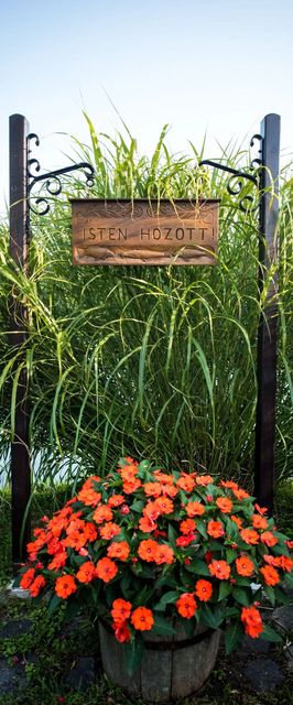 Az én szigetem Vendégházak Szarvas