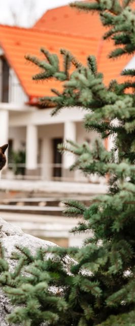 Boldizsár Lovas Ház Cserépfalu