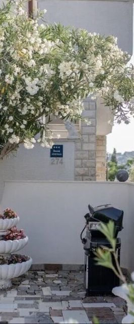 Apartmani Hotic Orhideja Barbat