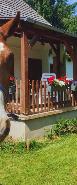 Minor Major Vendégház Somogyacsa