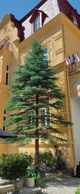 Aphrodite Hotel Mariánské Lázně II