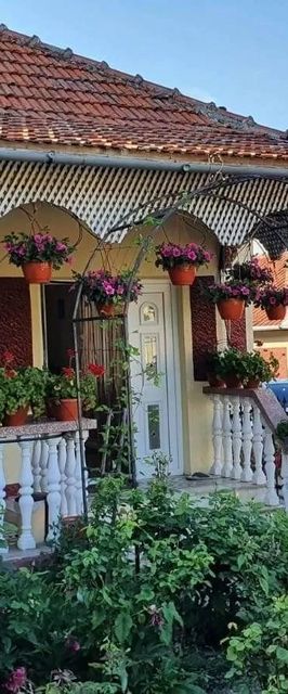 La Moșu-n Retezat Nucșoara