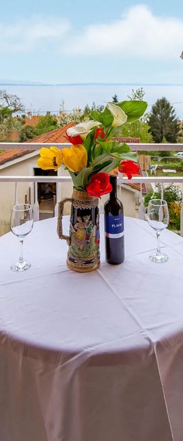 Apartman Lovran - CKU288